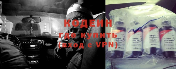 индика Волосово