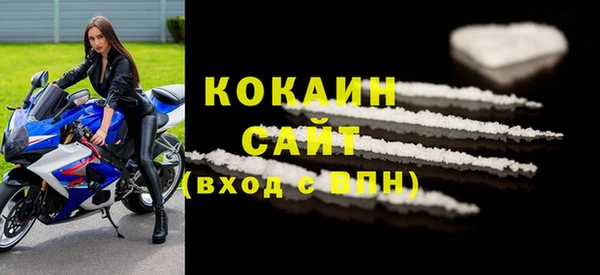 индика Волосово