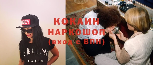 индика Волосово