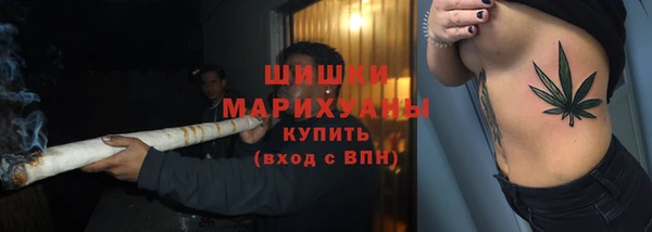 индика Волосово