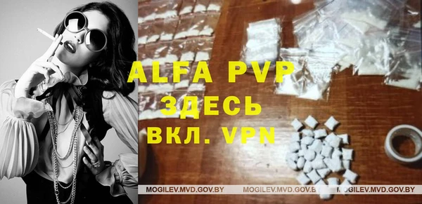 индика Волосово
