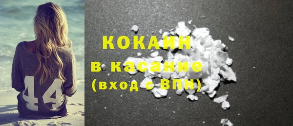ПСИЛОЦИБИНОВЫЕ ГРИБЫ Сосновый Бор