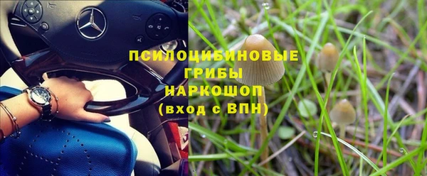 ешки Володарск
