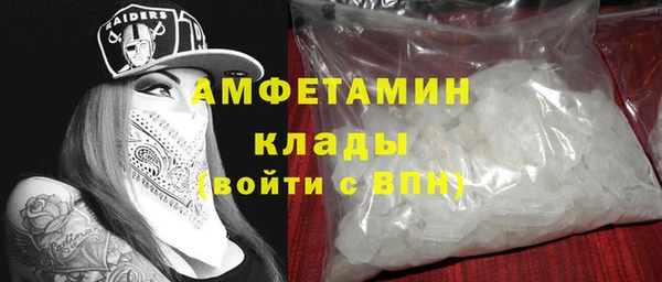 индика Волосово