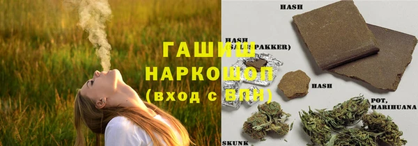 индика Волосово