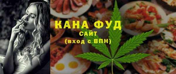 индика Волосово