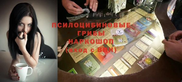 ешки Володарск