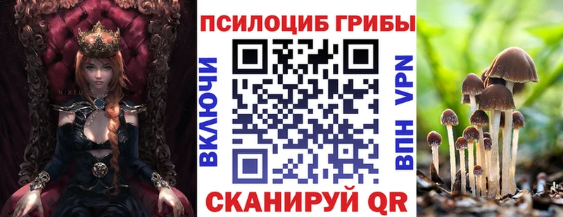 mega ССЫЛКА Строитель Галлюциногенные грибы Psilocybe